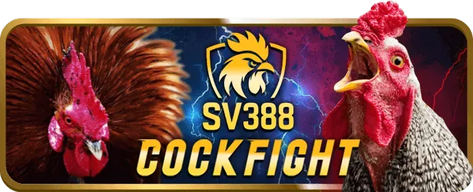 Hỗ trợ người chơi game bài fabet88 tận tình 24_7